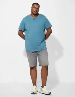 Denim short - Straight fit - grijs