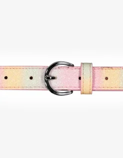 Riem - Haaksluiting - brons