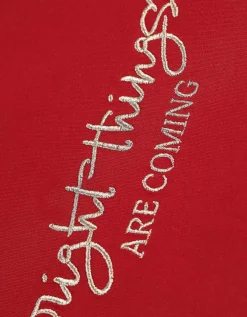 T-shirt - Borduursels - donkerrood