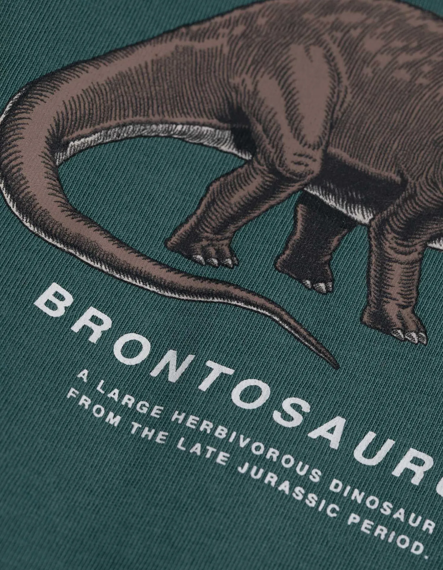 T-shirt - Vooropdruk - groen